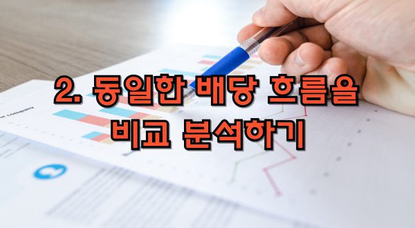 스포츠토토 비교 분석