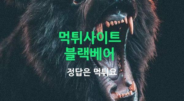 블랙베어 먹튀사이트