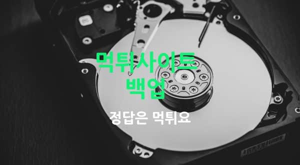 백업먹튀사이트