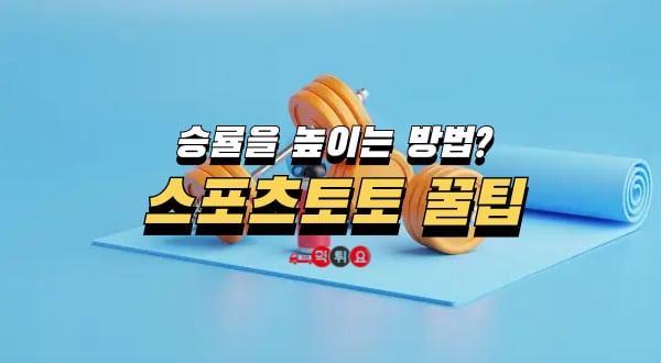 스포츠토토 꿀팁